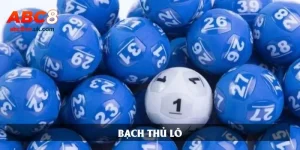 Bạch thủ lô